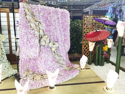 世界らん展と六本木歌舞伎に行った日。