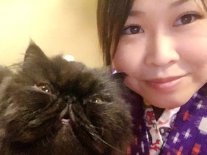 吉祥寺の猫カフェ「てまりのおうち」